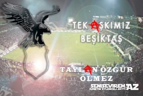 Taylan Özgür Ölmez – Tek Aşkımız Beşiktaş 2015