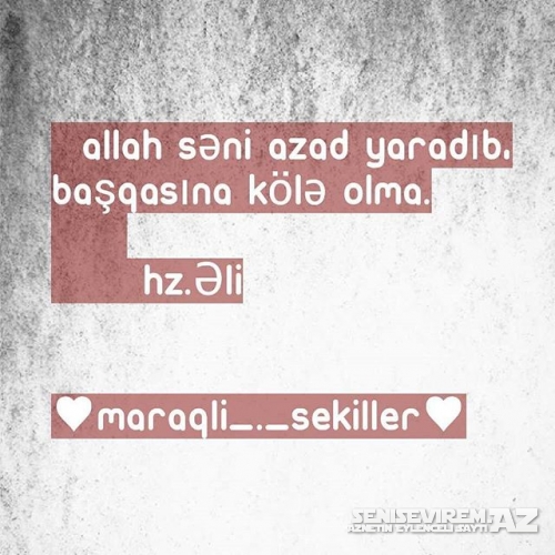 Yazili Maraqli Sekiller 2016